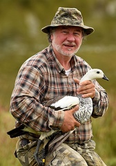 2018 Upland Goose male