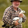 2018 Upland Goose male