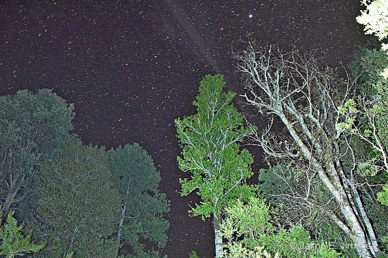 At_Night_Maihue_Lake_Chile_6.jpg