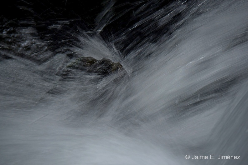 Stream_PN_Puyehue_Chile_4.jpg