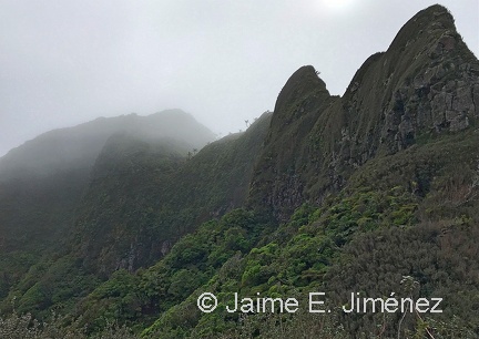 Mirador de Selkirk Juan Fernandez Island