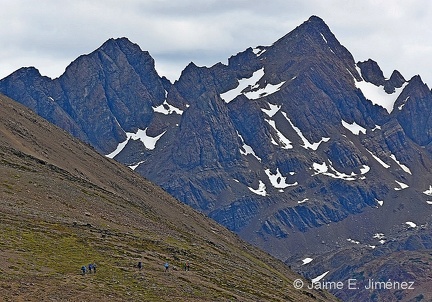 Dientes de Navarino