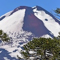 Llaima Volcano