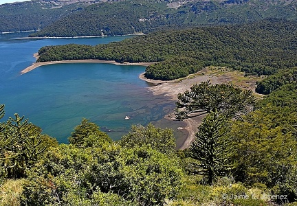 PN Conguillio