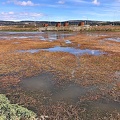 Tres Puentes Wetland